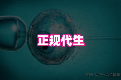 nub孕网 2